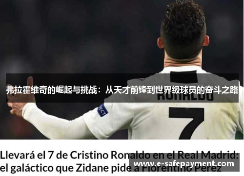 弗拉霍维奇的崛起与挑战：从天才前锋到世界级球员的奋斗之路